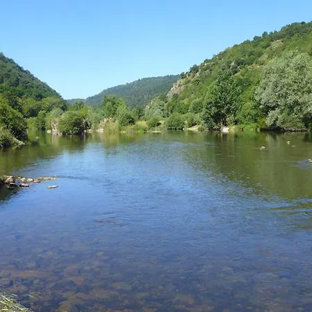 Mobil 8 Pers Avec Terrasse Au Chambon De - Api-1-52-428 Camping Vorey